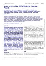A new version of the RDP (Ribosomal Database Project)
