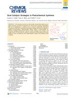 Dual Catalysis Strategies in Photochemical Synthesis