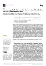 Secreted Aspartic Proteinases: Key Factors in Candida Infections and Host-Pathogen Interactions