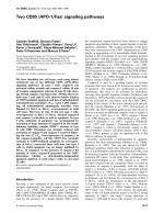 Two CD95 (APO-1/Fas) signaling pathways
