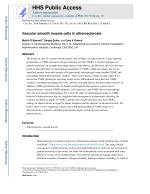 Vascular smooth muscle cells in atherosclerosis