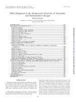 What Happened to the Streptococci: Overview of Taxonomic and Nomenclature Changes