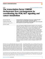 The transcription factor ChREBP Orchestrates liver carcinogenesis by coordinating the PI3K/AKT signaling and cancer metabolism