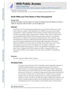 Small RNAs and Their Roles in Plant Development