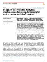 Longevity interventions modulate mechanotransduction and extracellular matrix homeostasis in C. elegans