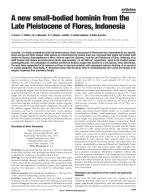 A new small-bodied hominin from the Late Pleistocene of Flores, Indonesia