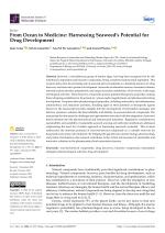 From Ocean to Medicine: Harnessing Seaweed’s Potential for Drug Development