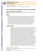 Role of Rab GTPases in Membrane Traffic and Cell Physiology