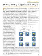 Directed bending of a polymer film by light