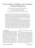 On Uncertainty, Ambiguity, and Complexity in Project Management