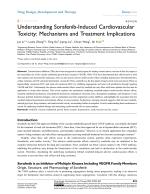 Understanding Sorafenib-Induced Cardiovascular Toxicity: Mechanisms and Treatment Implications
