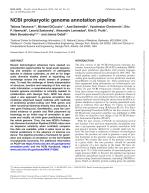 NCBI prokaryotic genome annotation pipeline