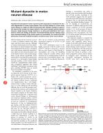 Mutant dynactin in motor neuron disease