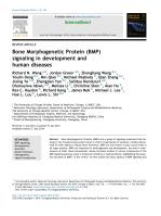 Bone Morphogenetic Protein (BMP) signaling in development and human diseases