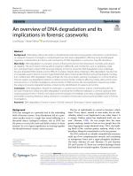An overview of DNA degradation and its implications in forensic caseworks