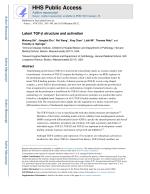 Latent TGF-β structure and activation