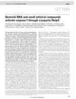 Bacterial RNA and small antiviral compounds activate caspase-1 through cryopyrin/Nalp3