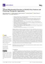 Altered Mitochondrial Function in MASLD: Key Features and Promising Therapeutic Approaches