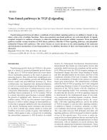 Non-Smad pathways in TGF-β signaling
