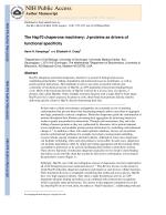 The Hsp70 chaperone machinery: J-proteins as drivers of functional specificity