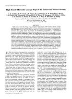 High Density Molecular Linkage Maps of the Tomato and Potato Genomes