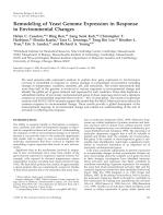 Remodeling of Yeast Genome Expression in Response to Environmental Changes