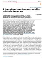 A foundational large language model for edible plant genomes