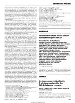 Identification of the breast cancer susceptibility gene BRCA2