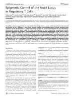 Epigenetic Control of the foxp3 Locus in Regulatory T Cells