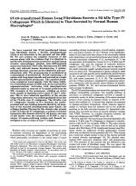 SV40-transformed Human Lung Fibroblasts Secrete a 92-kDa Type IV Collagenase Which Is Identical to That Secreted by Normal Human Macrophages