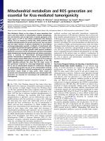 Mitochondrial metabolism and ROS generation are essential for Kras-mediated tumorigenicity