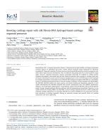 Boosting cartilage repair with silk fibroin-DNA hydrogel-based cartilage organoid precursor