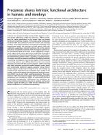 Precuneus shares intrinsic functional architecture in humans and monkeys