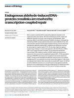 Endogenous aldehyde-induced DNA–protein crosslinks are resolved by transcription-coupled repair