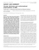 SURVEY AND SUMMARY Circular dichroism and conformational polymorphism of DNA