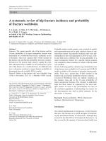 A systematic review of hip fracture incidence and probability of fracture worldwide