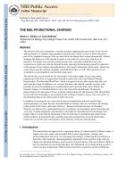 THE MULTIFUNCTIONAL CHOROID