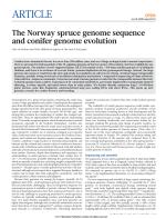 The Norway spruce genome sequence and conifer genome evolution