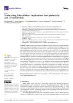 Modulating Nitric Oxide: Implications for Cytotoxicity and Cytoprotection