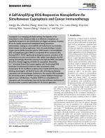A Self-Amplifying ROS-Responsive Nanoplatform for Simultaneous Cuproptosis and Cancer Immunotherapy