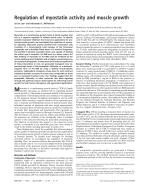 Regulation of myostatin activity and muscle growth
