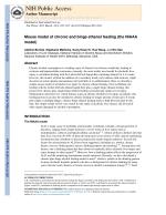Mouse model of chronic and binge ethanol feeding (the NIAAA model)