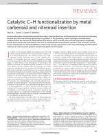 Catalytic C-H functionalization by metal carbenoid and nitrenoid insertion