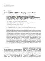 Corneal Epithelial Thickness Mapping: A Major Review