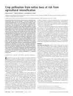 Crop pollination from native bees at risk from agricultural intensification