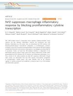 Nrf2 suppresses macrophage inflammatory response by blocking proinflammatory cytokine transcription