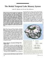 The Medial Temporal Lobe Memory System