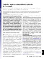 Tools for neuroanatomy and neurogenetics in Drosophila