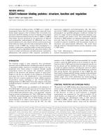CCAA T/enhancer-binding proteins: structure, function and regulation