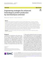 Engineering strategies for enhanced heterologous protein production by Saccharomyces cerevisiae